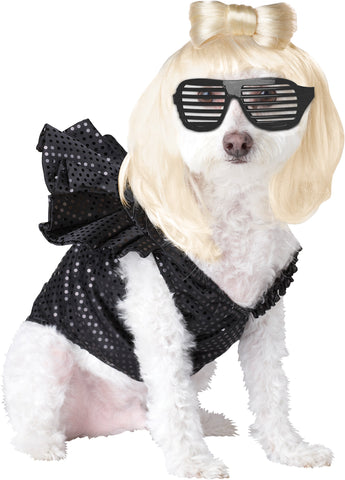 Pop Sensation Dog Costume