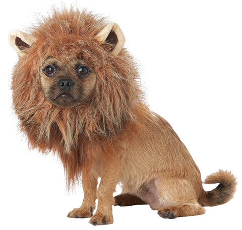 King Of Jungle Dog Costume