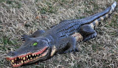 4' Foam-Filled Swamp Alligator
