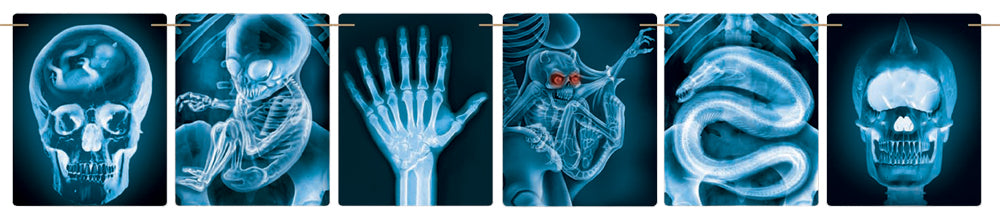 Mad Scientist Xray Banner Mad Scientist Xray Banner