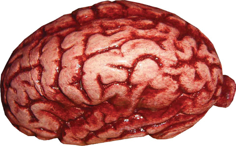 Latex Brain Latex
