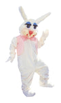 Peter Rabbit Mascot
