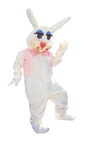 Peter Rabbit Mascot