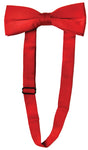 Satin Bow Tie with Band