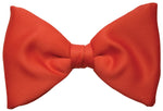 Formal Bow Tie