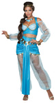 Women's Arabian Princess Costume