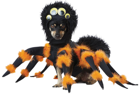 Spider Pup Dog Costume