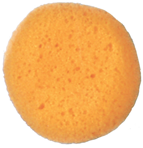 Sponge Cosmetic