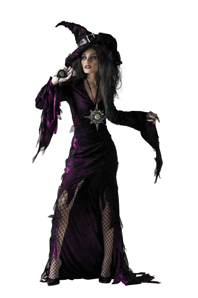 purple witch dress women's Boo-Tiful Witch Costume