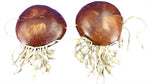 Coconut Bikini with Shells