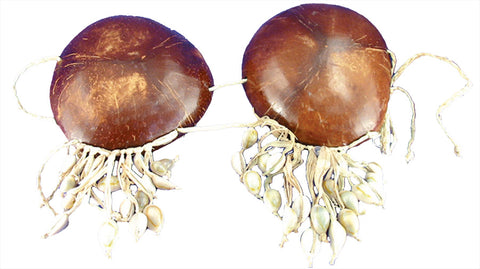 Coconut Bikini with Shells