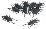 Cockroaches - Pack of 10