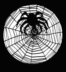 Stencil Spider with Web Stainless