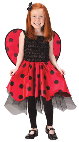 Ladybug