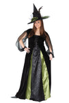 Women's Plus Size Witch Goth Maiden Costume