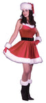 Women's Santa Ms. Baby Dress