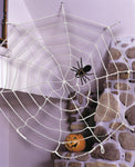 9' Spiderweb Rope