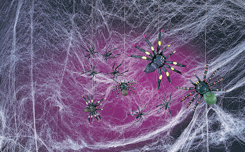 Spooky Spiders & Webs