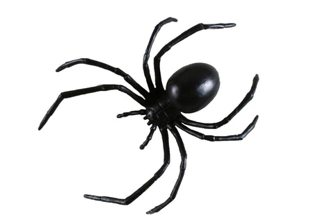 6" Black Widow Spider