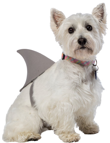 Shark Fin Dog Costume