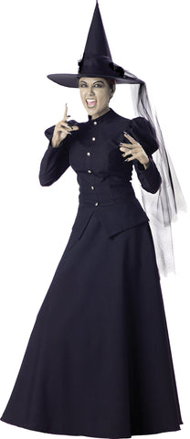 Women's Witch Costume -Wizard of OZ
