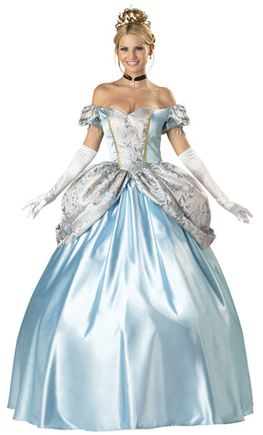 Women's Enchanting Princess Costume