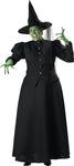 Women's Plus Size Witch Costume