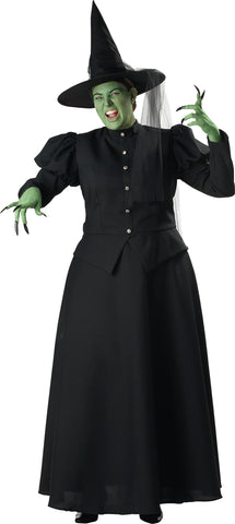 Women's Plus Size Witch Costume
