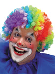 Colorful Clown Wig