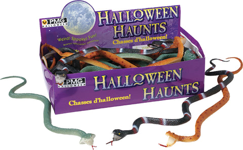 Snakes Display Box of 24