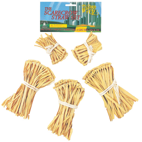 Scarecrow Straw Kit - Wizard of Oz