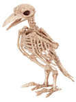 Skeleton Raven