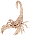 Scorpion Skeleton
