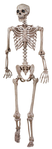 62" Skeleton Poseable
