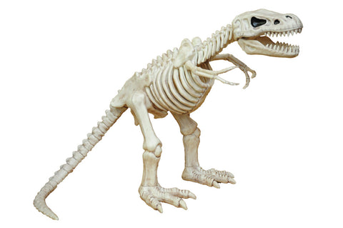 16" T-Rex Skeleton
