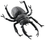 8" Black Beetle
