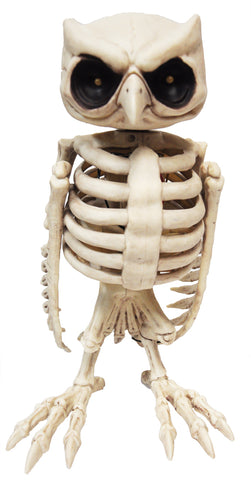 Owl Skeleton Animated