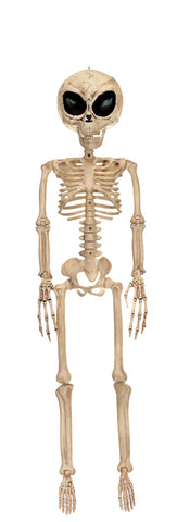 ALIEN SKELETON BONE COLOR 37IN