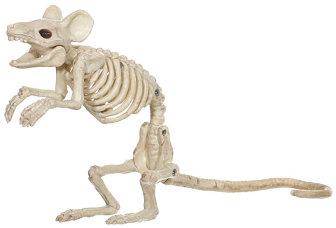 Mouse Standarding Skeleton