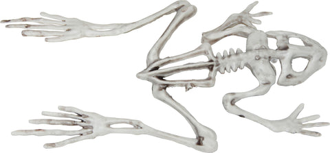 8" Frog Skeleton