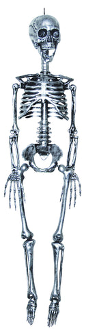 35" Skeleton