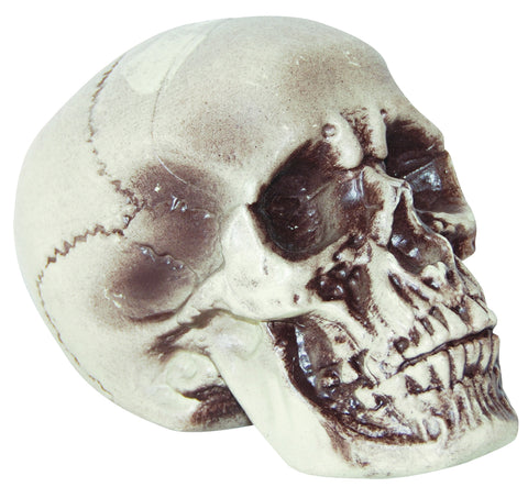7" Realistic Skull