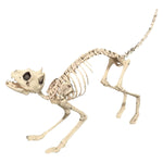 Skeleton Cat Sonic Realistic