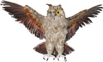 Large Brown Owl