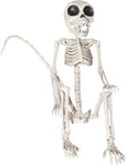 Monkey Skeleton