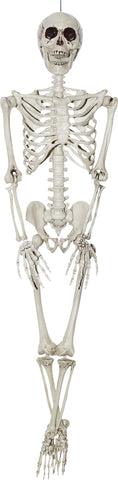 36" Skeleton