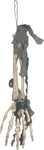 Skeleton Hand with Cloth