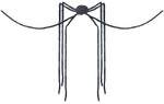 Giant Long-Legs Spider