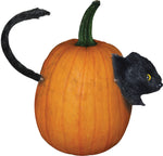 Cat Pumpkin Push-in