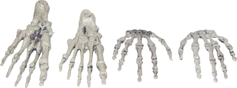 Skeleton Hands & Feet